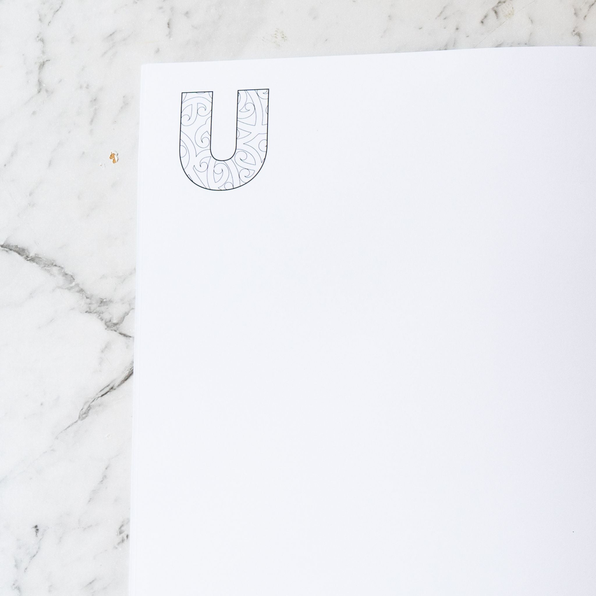 Baby's First Arapū Māori Book -Drawing Book