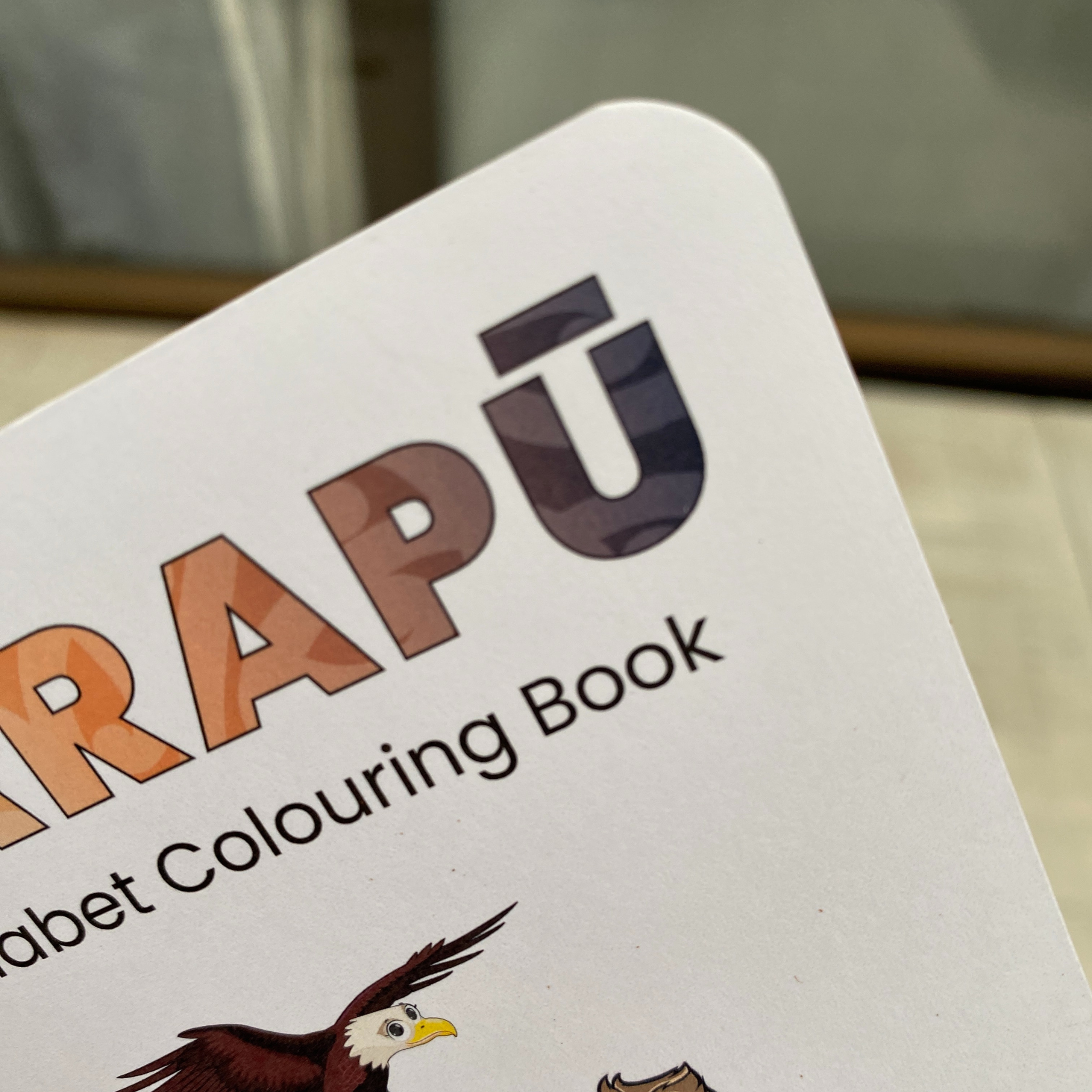 Baby's First Arapū Māori Activity Set - BUNDLE